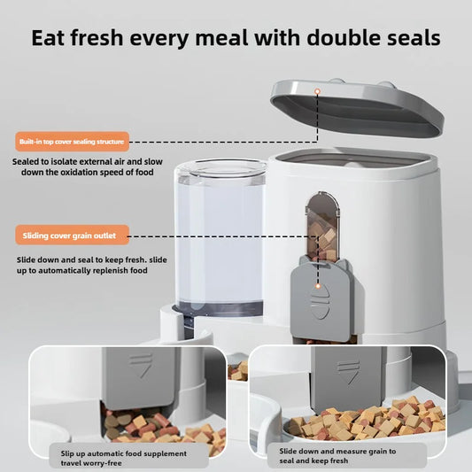 Comedero Automático para Gatos con Dispensador de Agua