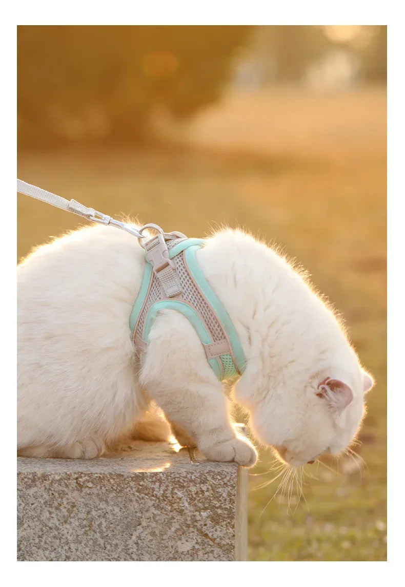 Chaleco de Seguridad para Mascotas con Correa Ajustable